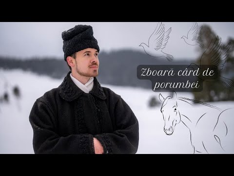 Ștefan Negru - ZBOARĂ CÂRD DE PORUMBEI (Colind) 2024
