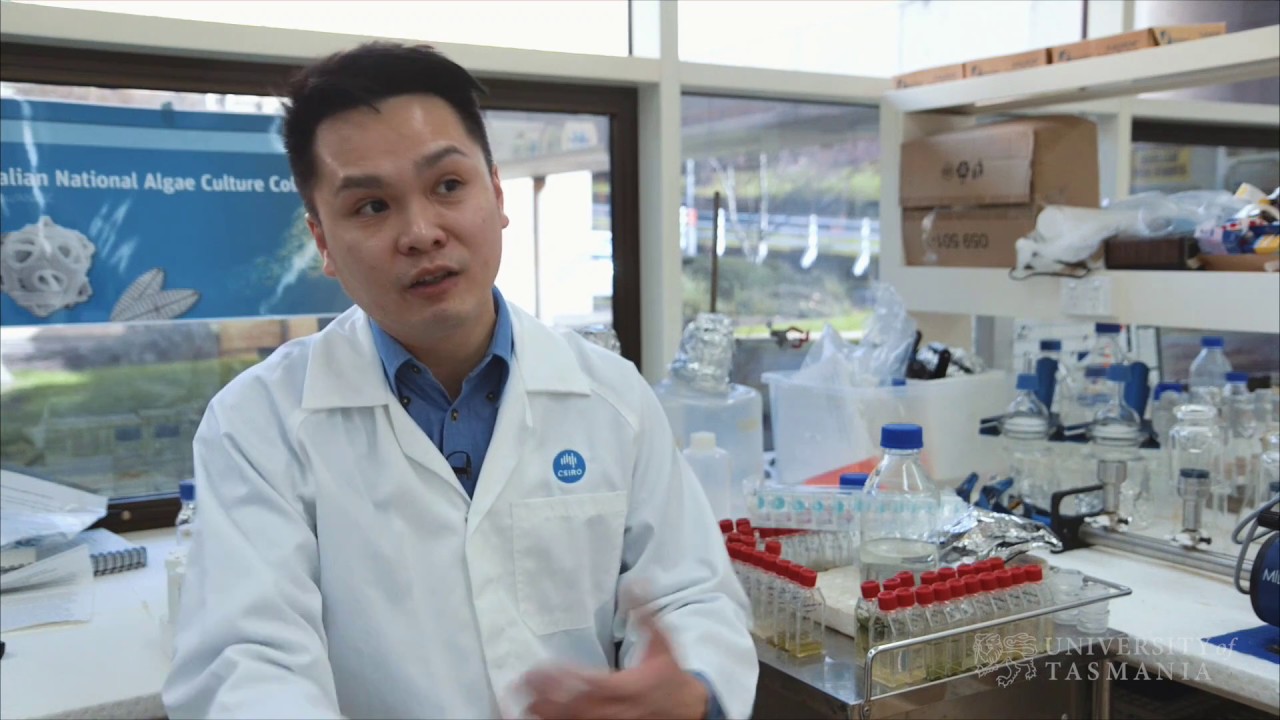 Play video: Biotechnology: It's the little things that change the world