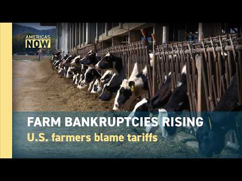 Why U.S. Farm Bankruptcies Are Surging?