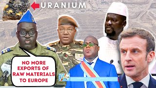 10 African Countries Have Banned the Export of Raw Materials to Europe