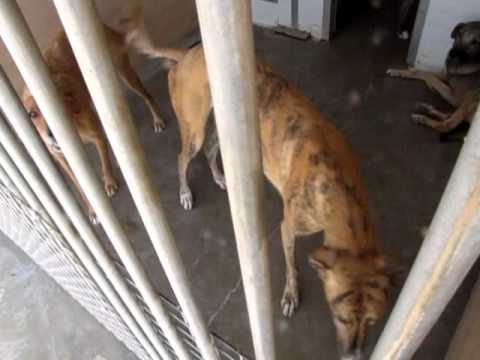 Mariangeles y Jose Miguel