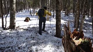 西別当代山標高2200m付近。