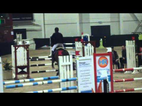 Stalois J.P.S. 5 year old Stakkato