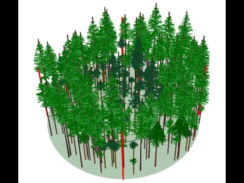 Forest Vegetation Simulator (FVS) - Tutorial