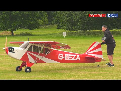 XXL 60% scale Clipped Wing Cubs Duo Formation | Azza Stephens and Sonny Milgate
