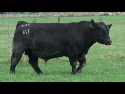 Lot 27  SEVEN HILLS V46 PV