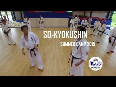 SO-KYOKUSHIN SUMMER CAMP 2015 KUMITE TRAINING