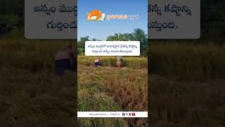 JHK Farmer Quote | Motivational quotes Telugu II Inspirational Quotes II Telugu Quote  @JaiHoKisan