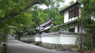 preview picture of video 'Viaggio Giappone - Japan Trip - (6/8) Kyoto'