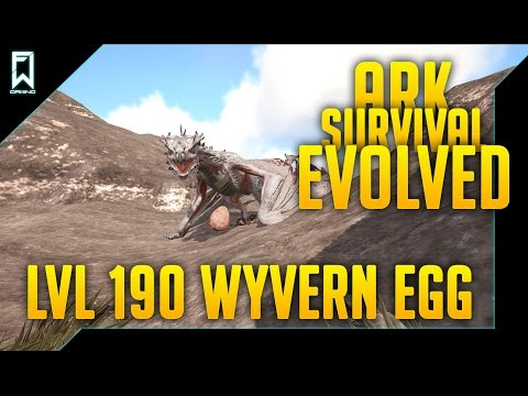 THE PERFECT WYVERN EGG lvl 190 !!! - ARK survival evolved lvl 190 egg!!