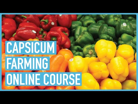 Profitable Pig Farming and Best Practices for success Course Outline