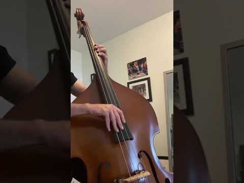 Fields of Gold - Sting (Upright Bass Cover)
