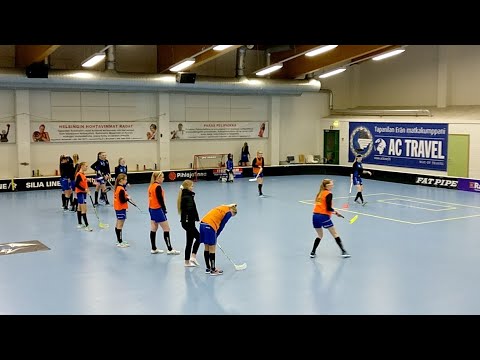 BTSM EräViikingit - RSS Panthers/LaSB, Mosa