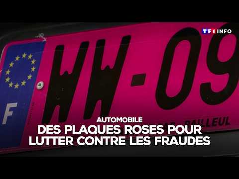 Des plaques d'immatriculation roses pour lutter contre les fraudes｜TF1 INFO