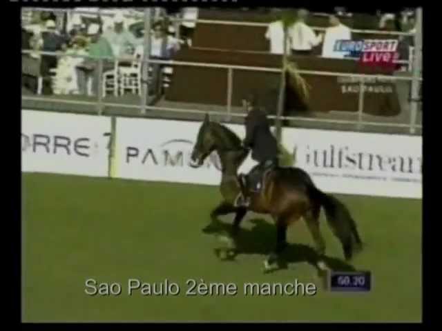 Half-brother of the mare Forca van T&L is the Legend CSI 1.60m Stallion Toulon with rider Hubert Bourdy.