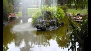 Povos degenerados - Livros dos Espíritos