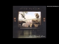 John Parish - Airplane Blues [feat. Polly Jean ...