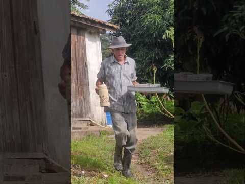 Tradição de distribuir leite na Sexta-feira da Paixão