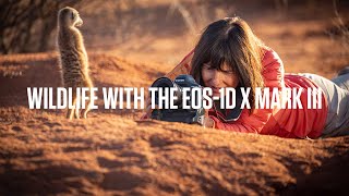 YouTube Video qRnZdU0bJNk for Product Canon EOS-1DX Mark III Full-Frame DSLR Camera by Company Canon in Industry Cameras