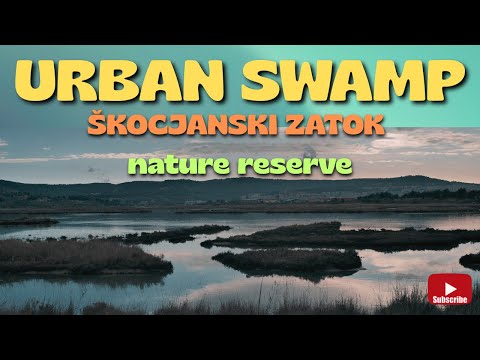 Škocjanski zatok nature reserve