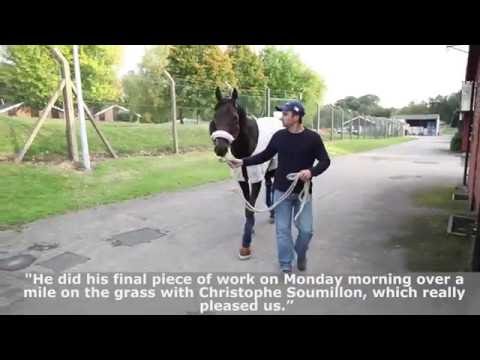 BCS TV | Almanzor arrives