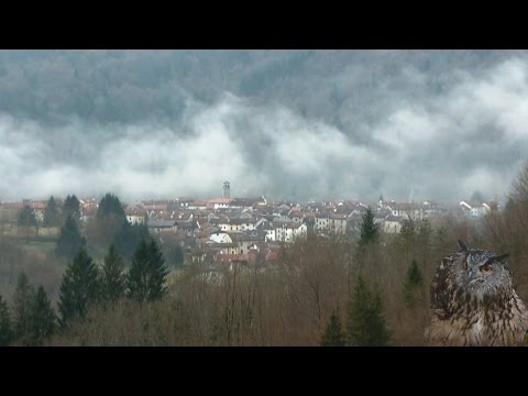 Anello del Monte Ciavac da Andreis