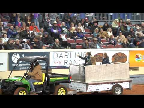 2014 COLONELS SHINING GUN HD