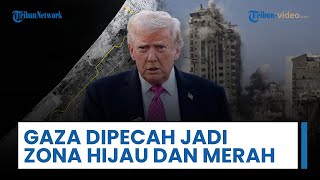 AS Matangkan Rencana Pembagian Gaza Jadi Zona Hijau dan Merah, Warga Terperangkap di Tengah Krisis