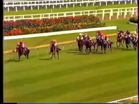 Strawberry Road - 1983 Rosehill Guineas