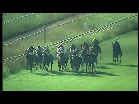 Napoli Galoppo 25/08/2021 - 5ª corsa - TRIS