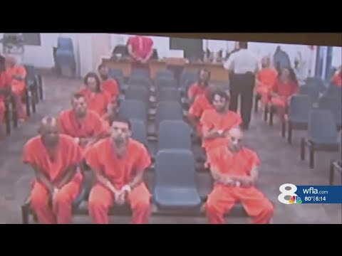 Child predator cases