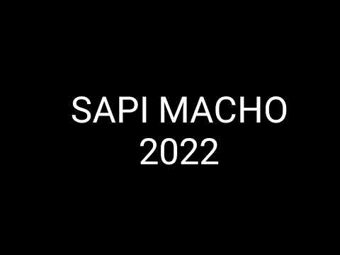 KOMANDAN LEKE Los Bendrong - SAPI MACHO 2022