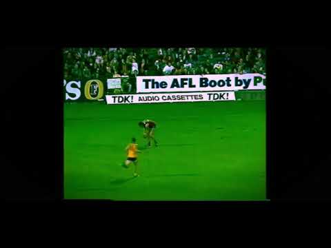 Dermott Brereton wrestles Alistair Lynch - would get weeks today