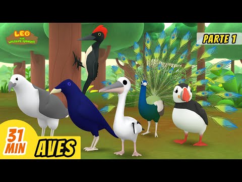 Aves Episodio Compilación [Parte 1/2] (Español) - Leo, El Explorador | Animación - Familia - Niños