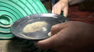 2012 Gold Show - Gold Magic - Gold Spiral Wheel