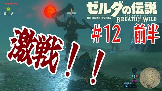 【BtoW】この世の原理を知らない　寄り道がメインのゼルダの実況　12 前半