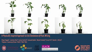 A Physically-inspired Approach to the Simulation of Plant Wilting (SIGGRAPH Asia 2023)