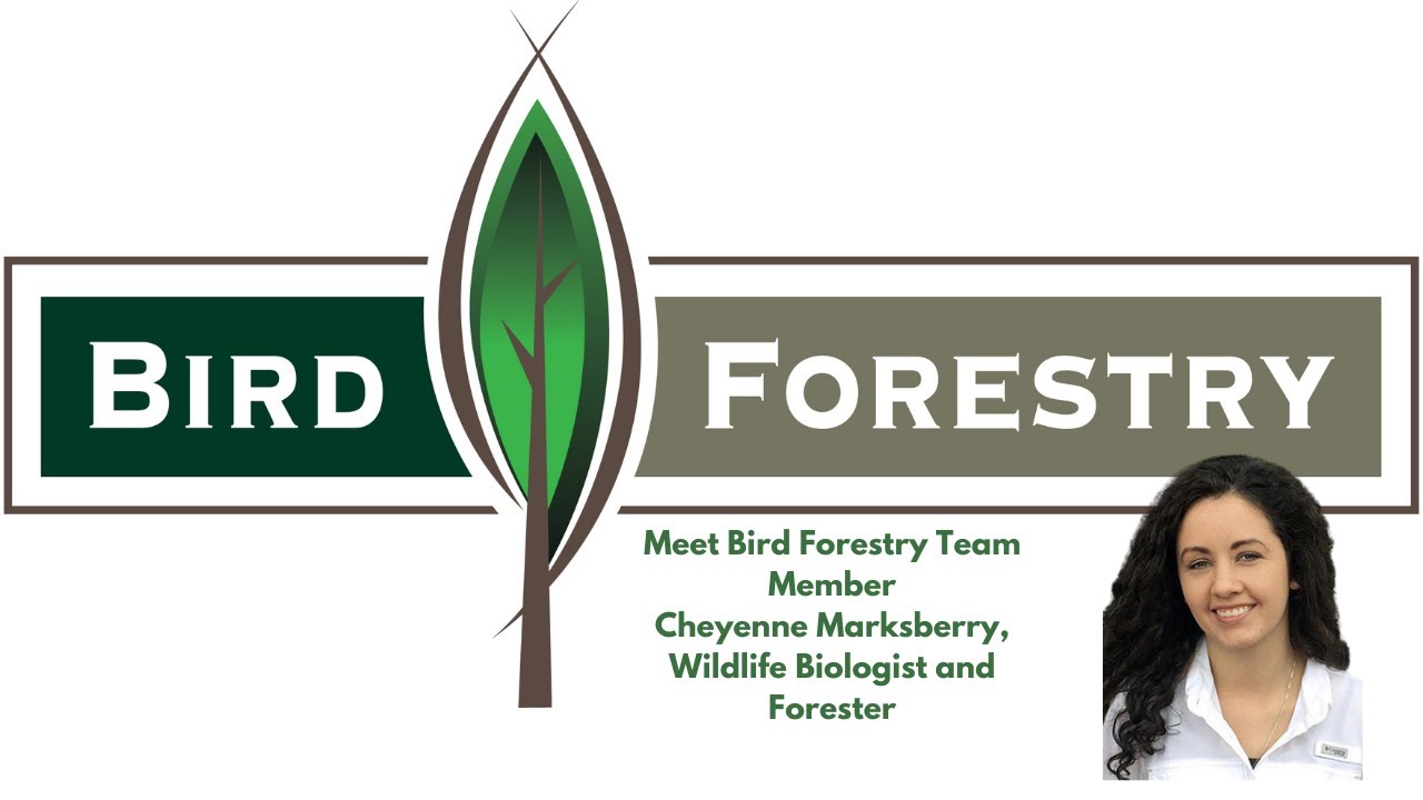 Meet Cheyenne Marksberry, Bird Forestry Wildlife Biologist and Forester