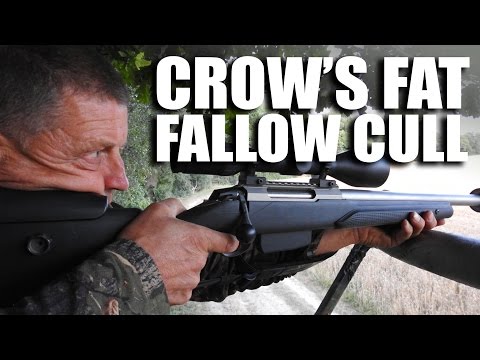 Crow's Fat Fallow Cull