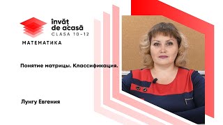 Понятие матрицы. Классификация