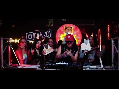 DAVZ |  Felina Groove Sessions #8