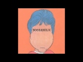 Boredoms - Hamaiian Disco Bollocks