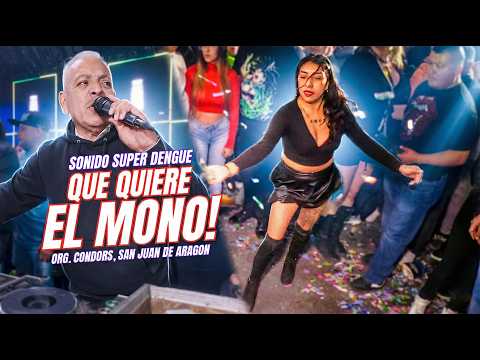 👉 What Does the Monkey Want? | Super Dengue Sound | Condors Organized by San Juan de Aragon