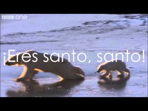 Dios de Maravillas - Steve Green.