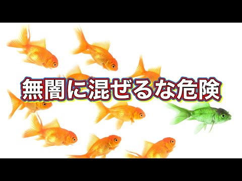 汚染され、過密な水族館