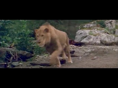 Clan of the Cave Bear (1986) Cave Lion Attack