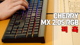 CHERRY MX BOARD 2.0S RGB (블랙, 적축)_동영상_이미지