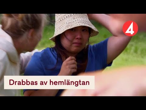 Känslostorm när två katter flyttar in på Farmen - Farmen (TV4)