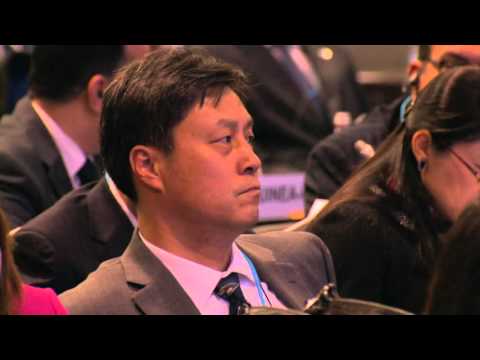 General Discussion (continued).