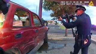 What NEVER To Do During a Traffic Stop